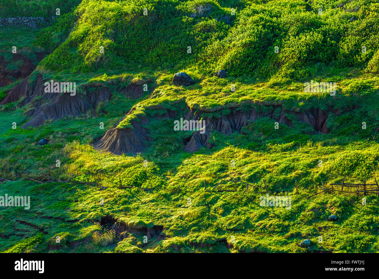 fence and pasture in North Maui Stock Photo