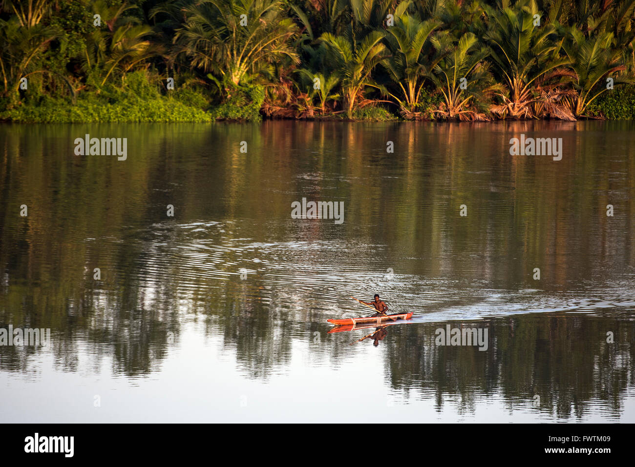 Local Man paddling on canoe Sepik River, Papua New Guinea Stock Photo