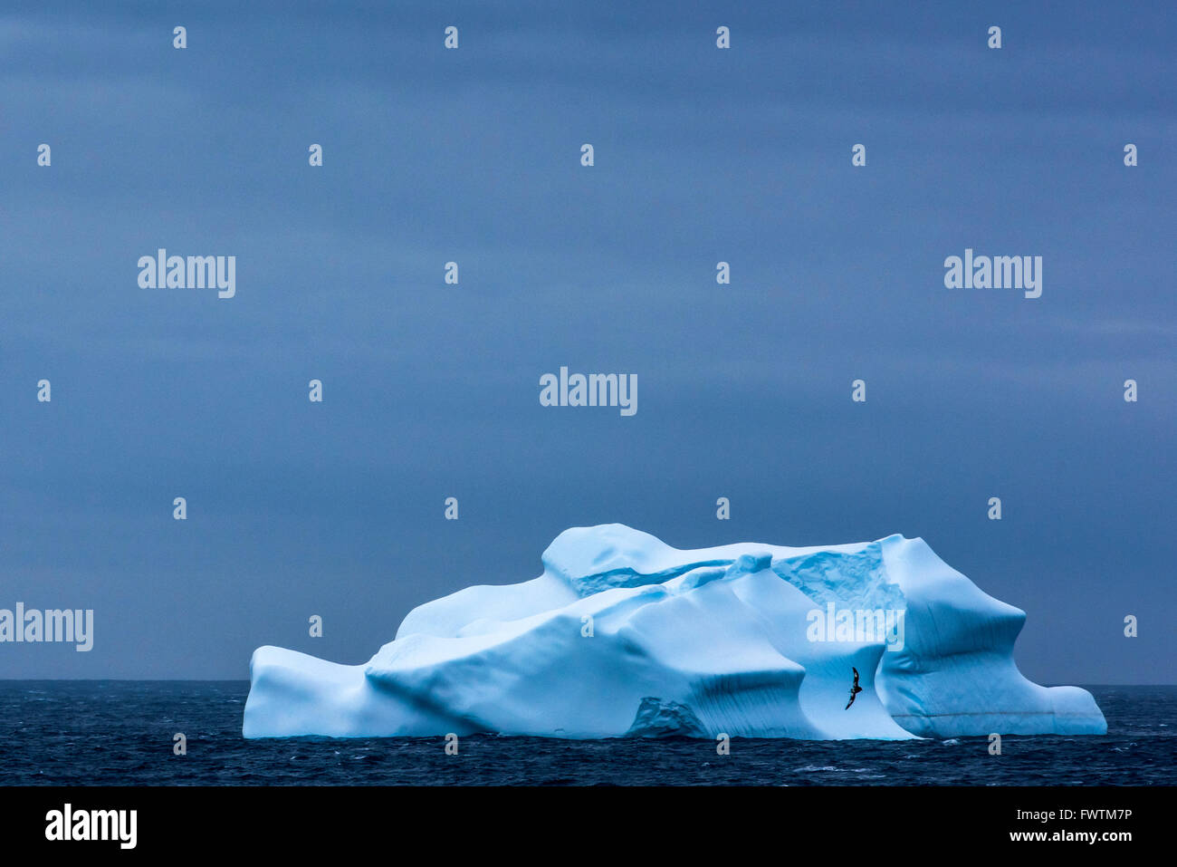 Giant Iceberg floating at sea near Cooper Bay, South Georgia Stock Photo