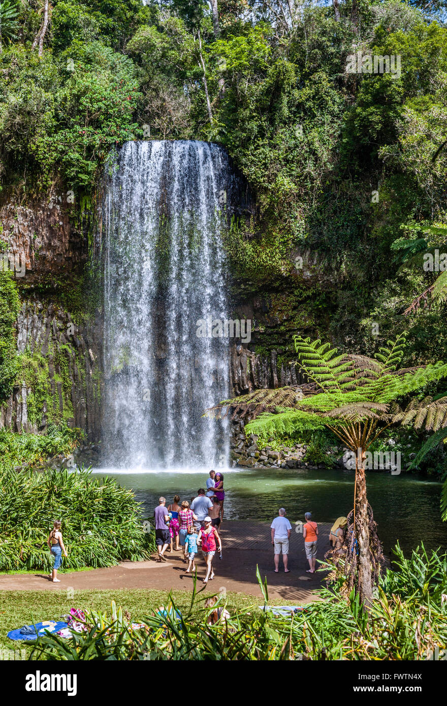 Australia, North Queensland, Atherton Tableland, Millaa Millaa Falls