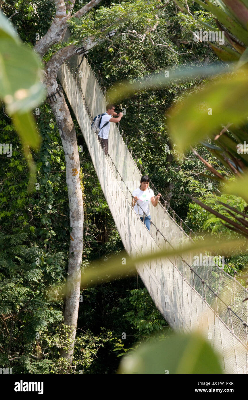Visitors have a birds eye view from the Amazon jungle canopy walkway at river napo camp Explorama tours in Peru. Iquitos, Loreto, Peru. The Amazon Canopy Walkway, one of the longest suspension bridges in the world, which will allow the primary forest animals from a height of 37 meters and is suspended over the 14 tallest trees in the area. Stock Photo