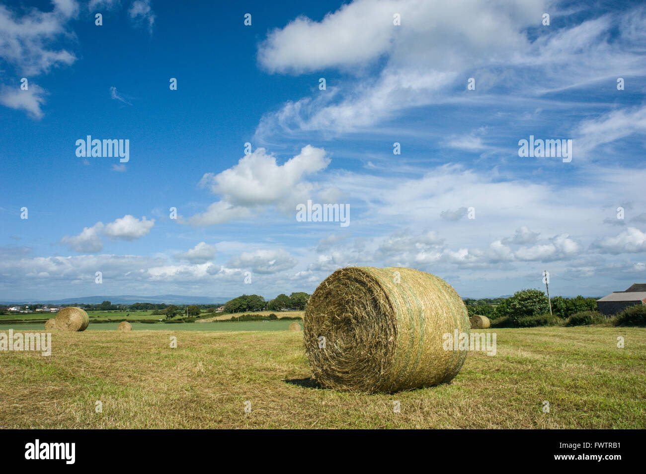 Hay bales at Stalmine near Hambleton on the Fylde Coast of Lancashire