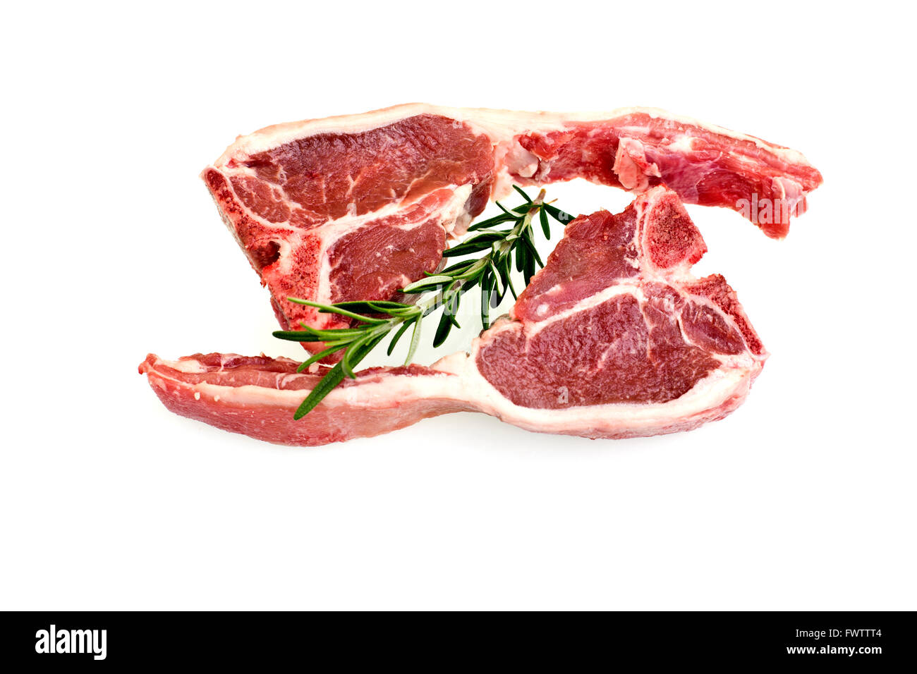 Raw lamb loin chops with rosemary and fat around the meat isolated over