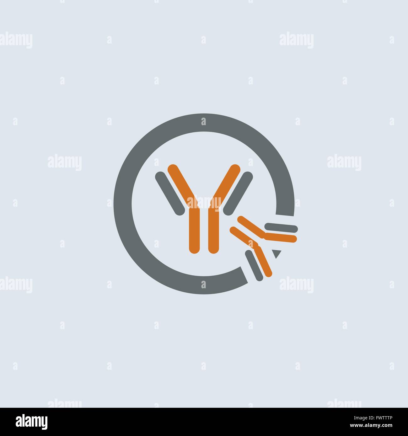 Iga antibodies Stock Vector Images - Alamy