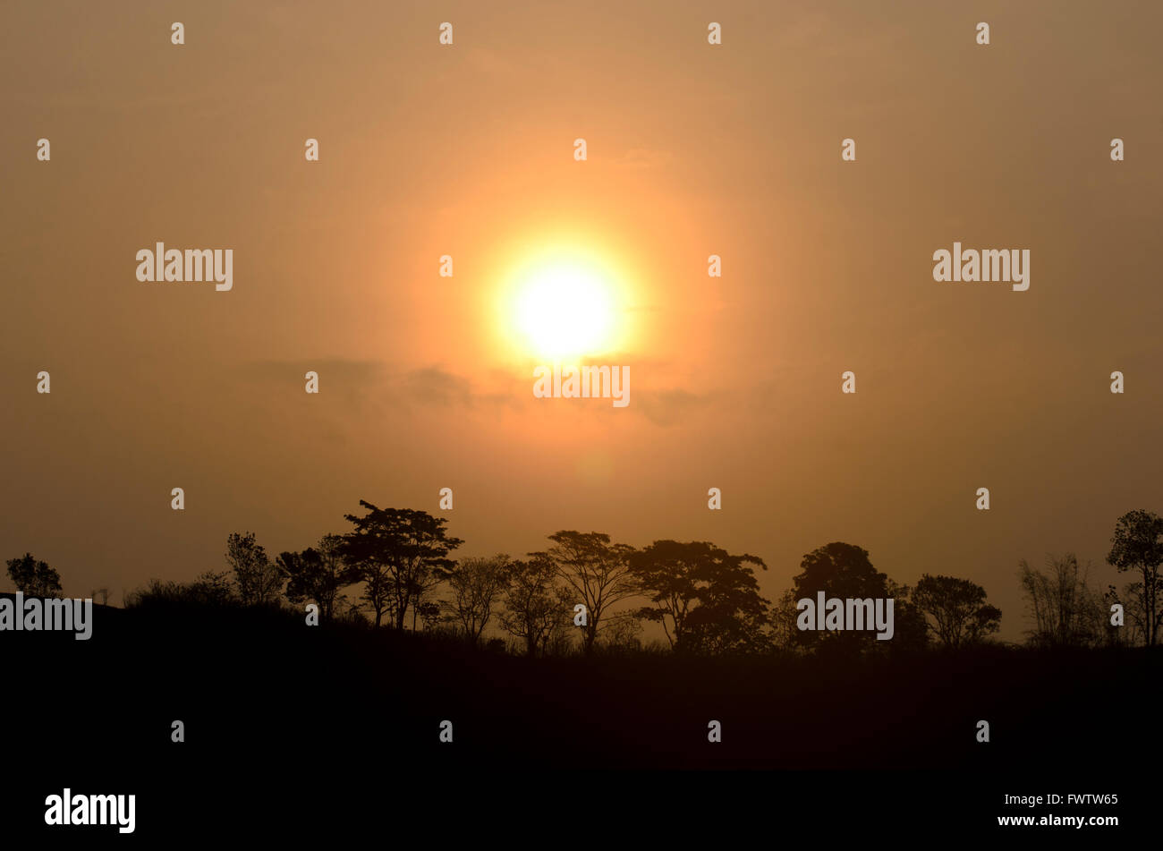 Trees silhouette sunrise Stock Photo - Alamy