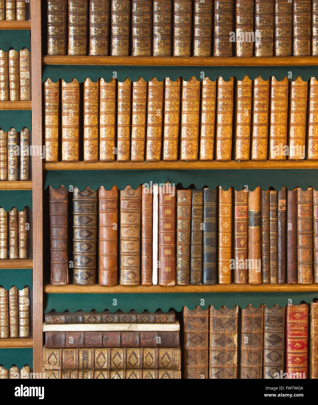 Bookshelf Vintage Books Collection Antique Book Textured Covers