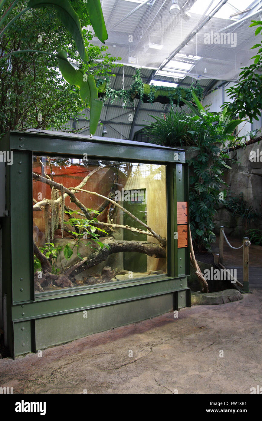 The Amazonian greenhouse located in the Montpellier Zoo Lunaret, Languedoc-Roussillon, France Stock Photo