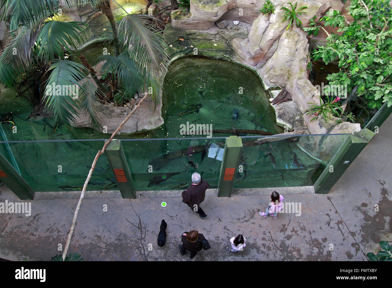 The Amazonian greenhouse located in the Montpellier Zoo Lunaret, Languedoc-Roussillon, France Stock Photo