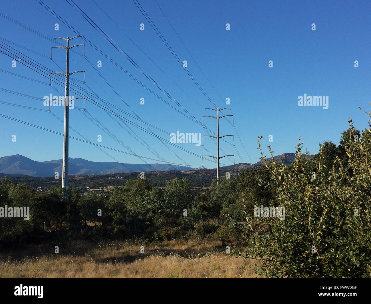 modern towers electric in the field Stock Photo