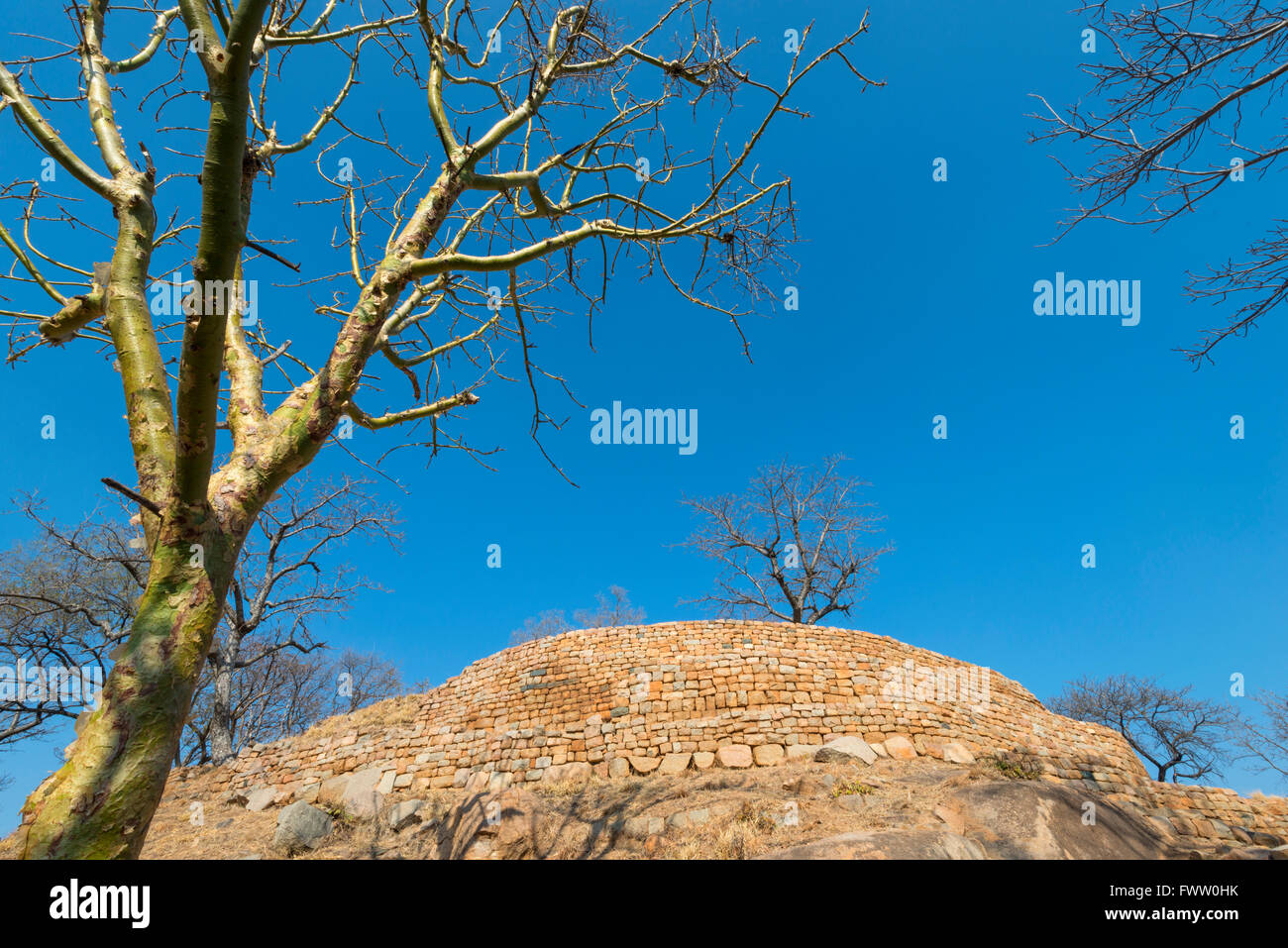 Monomotapa High Resolution Stock Photography and Images Alamy