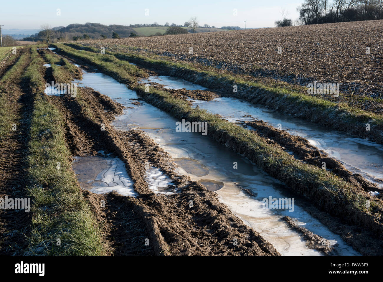 Puddles in deep tractor ruts frozen on a cold bright winter morning in January, West Berkshire Stock Photo