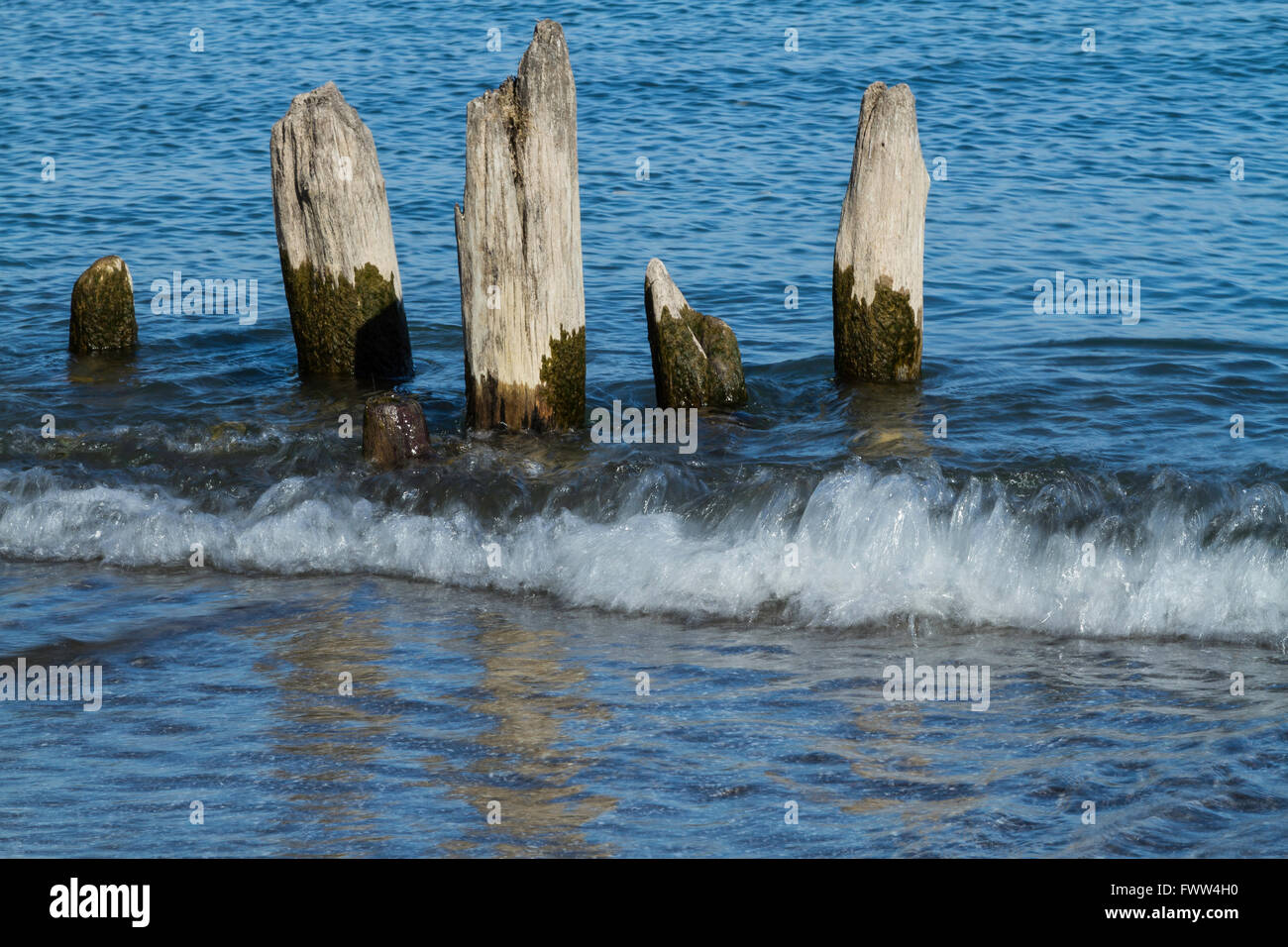 old rotting wooden pier support Stock Photo