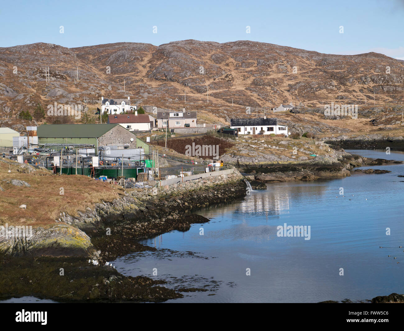 Geocrab salmon hatchery, Isle of Harris Stock Photo Alamy