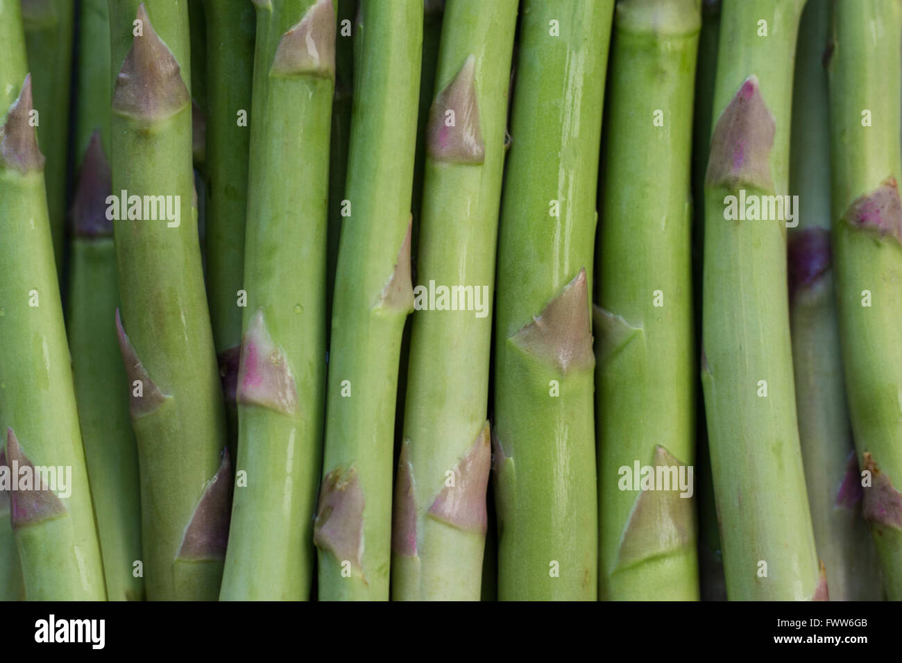 fresh green asparagus macro raw - food closeup Stock Photo