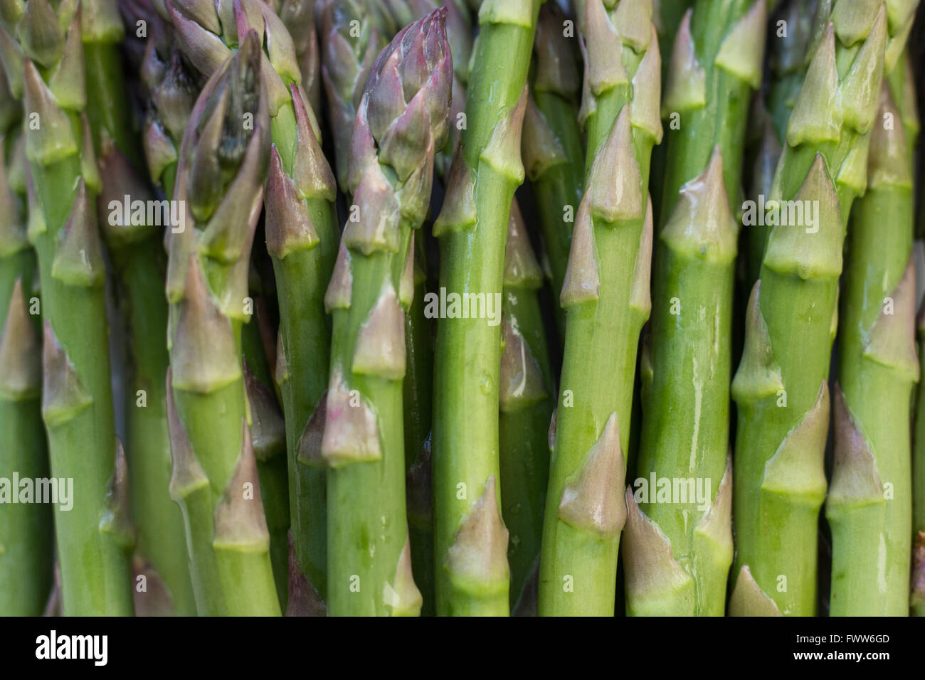 fresh green asparagus macro raw - food closeup Stock Photo