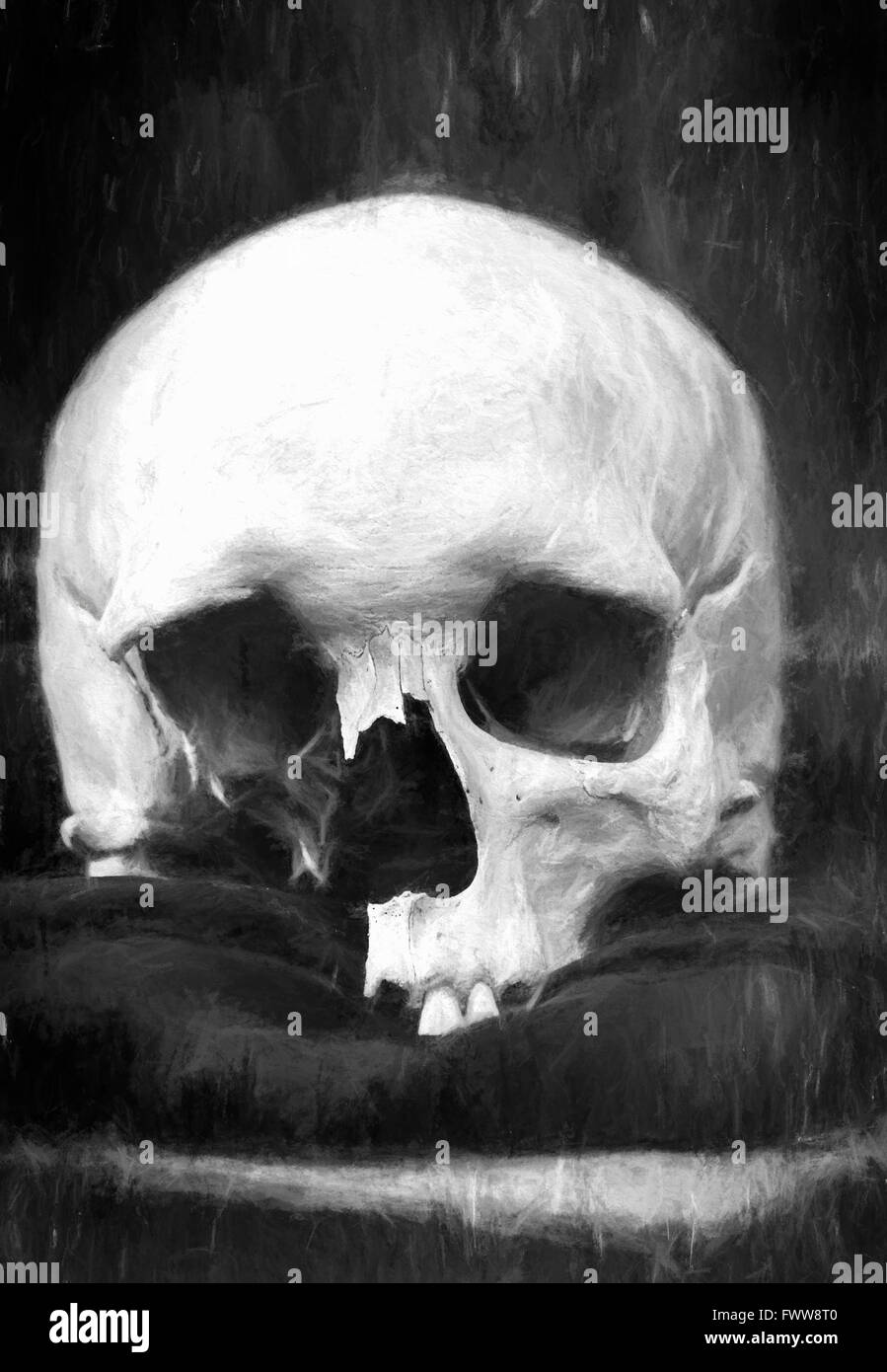 Damaged human skull. Charcoal drawing. Horror scene. Stock Photo