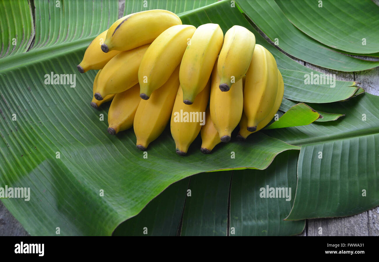 Banana fruits hires stock photography and images Alamy