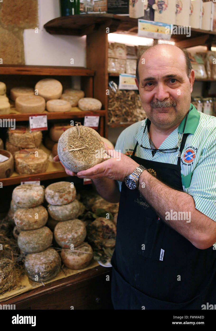 Toscana,Italy: Monaci Remo olive and cheese shop,owner holding pecorino cheese Stock Photo