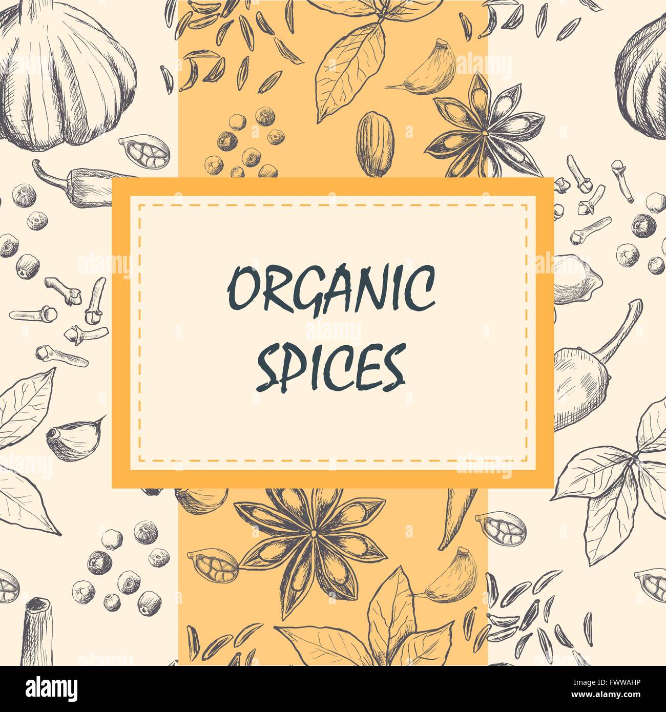 Hand drawn set of organic spices Stock Vector Image & Art - Alamy