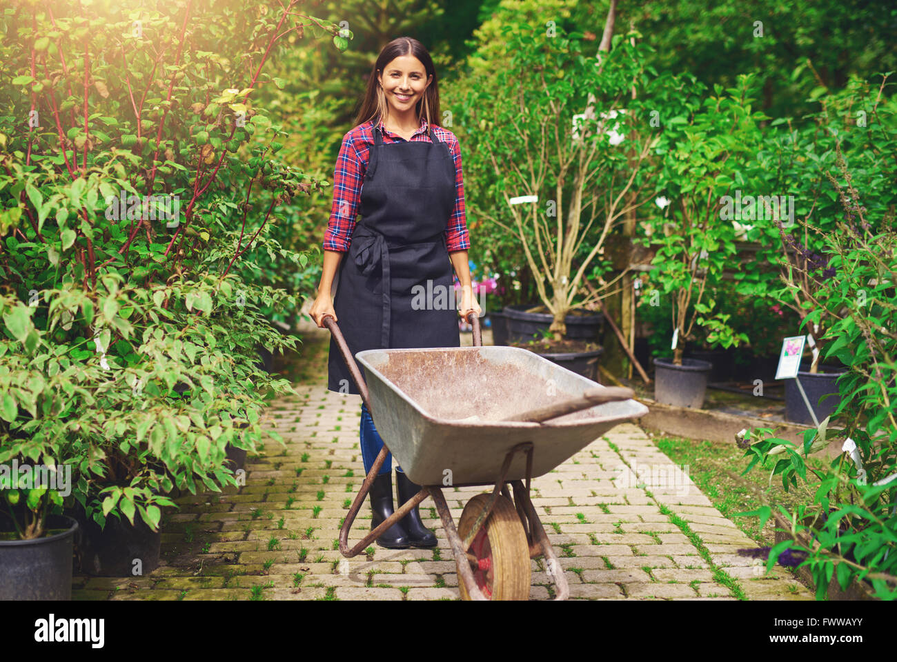 Young woman working in a nursery greenhouse standing on a path amongst potted plants with a wheelbarrow and spade smiling at the Stock Photo