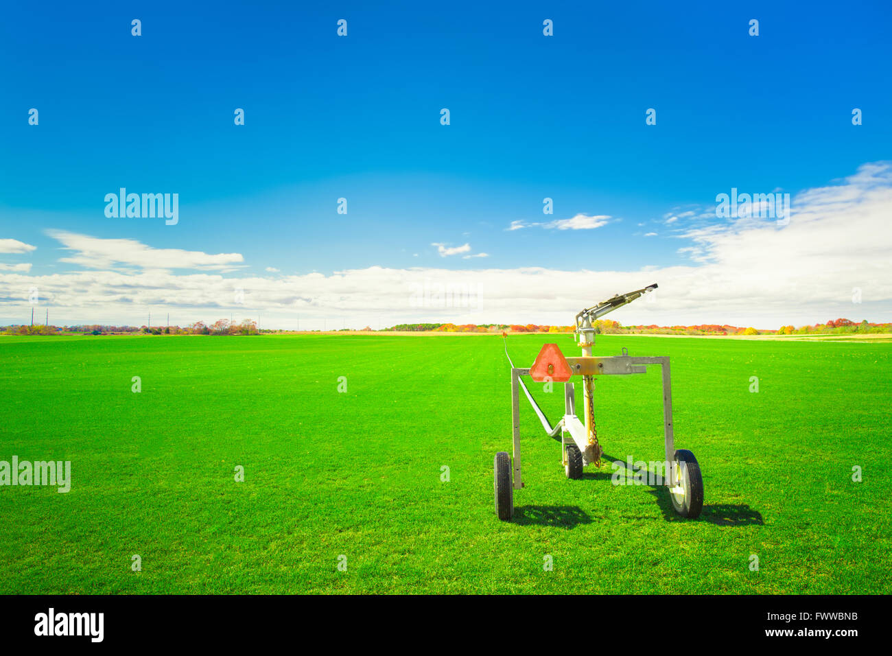 Vibrant green grass field on sod farm with sprinkler irrigation