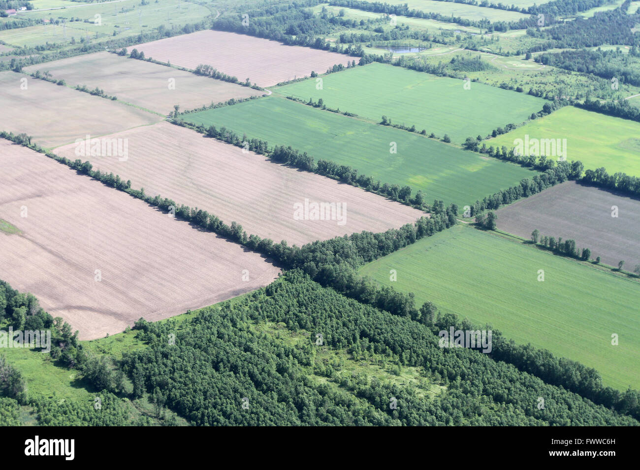 An aerial view of farmland near Kingston, Ont., on June 28, 2014. Stock Photo