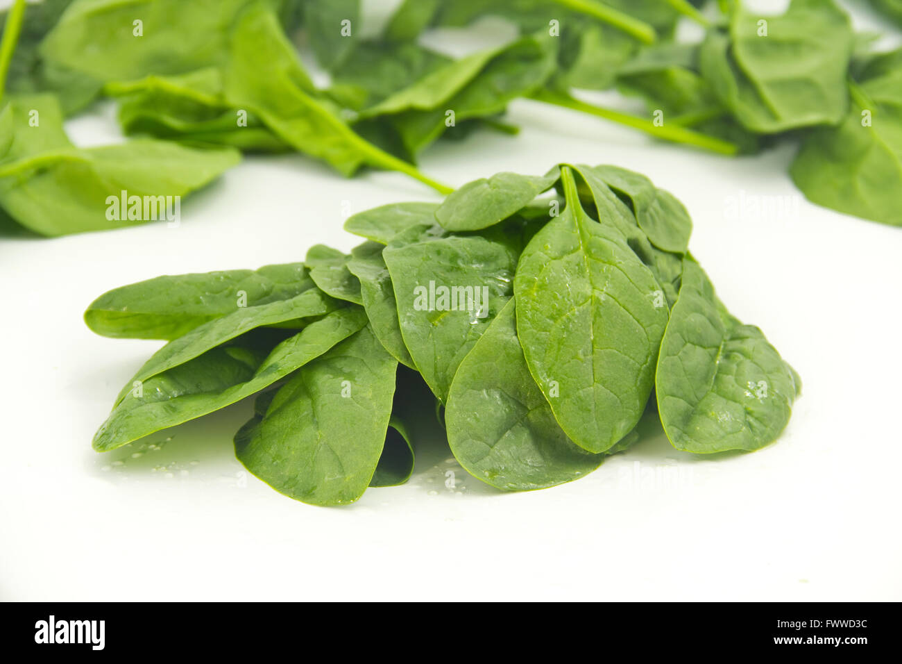 Bunch of spinach leaves in isolated bakground Stock Photo Alamy