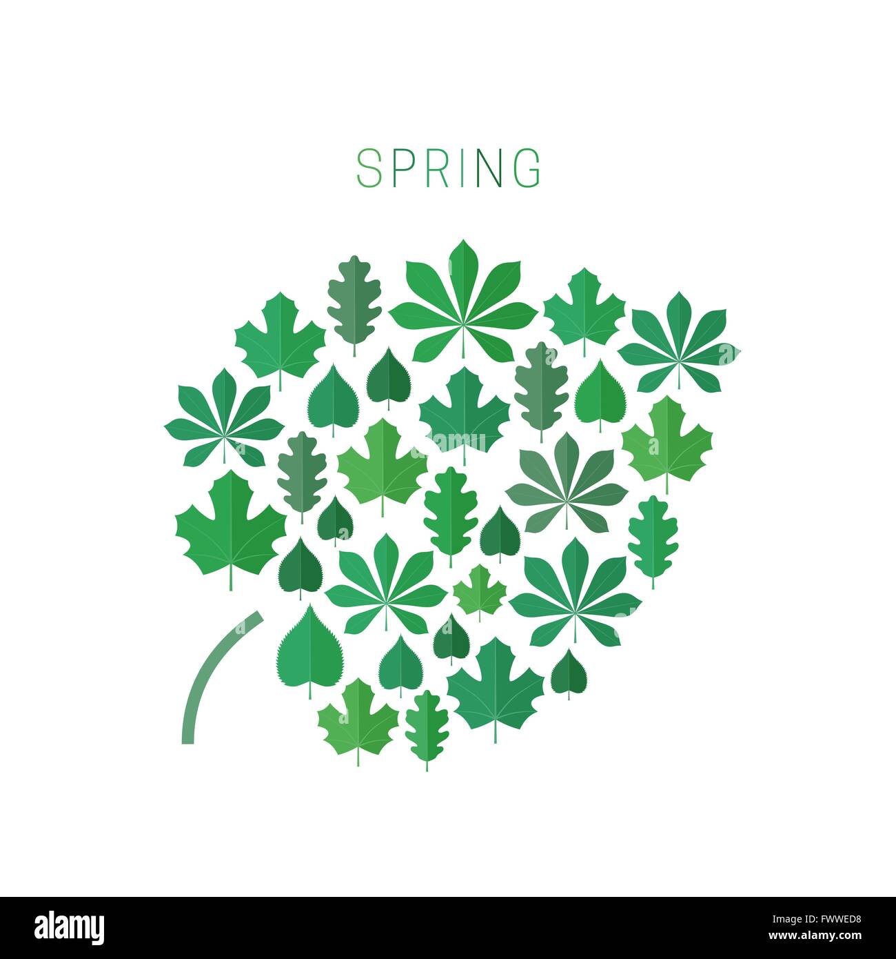 Green spring leaves Stock Vector Image & Art - Alamy
