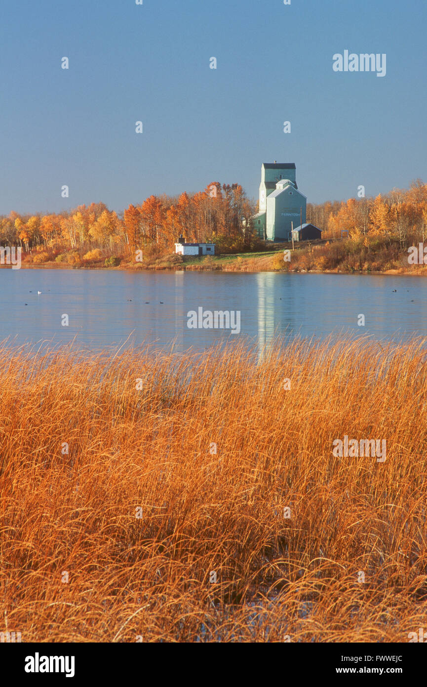 Prairie Grain Elevator, Ferintosh, Alberta, Canada Stock Photo Alamy