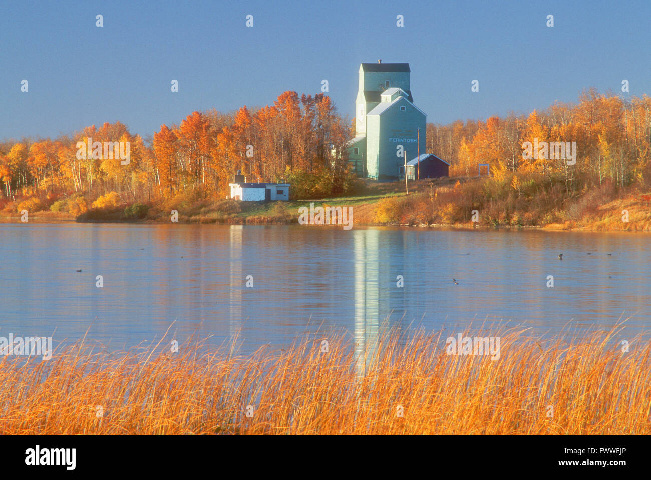 Prairie Grain Elevator, Ferintosh, Alberta, Canada Stock Photo Alamy