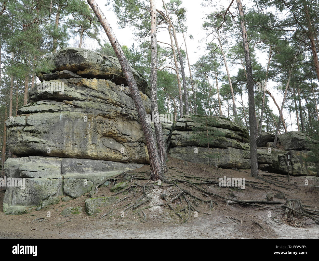 Bizarre sandstone rock formation in the forest Stock Photo