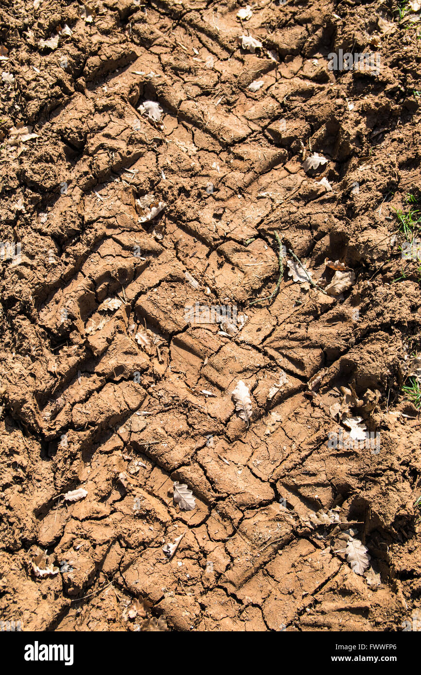 Background formed by imprint in the mud left by the wheel of a tractor ...