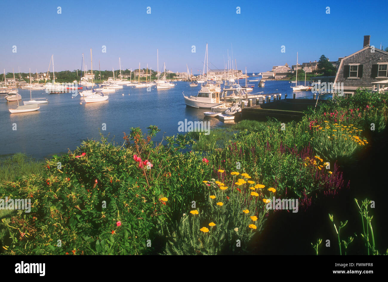 The Harbor at Harwich, Cape Cod, Massachusetts, U.S.A. Stock Photo