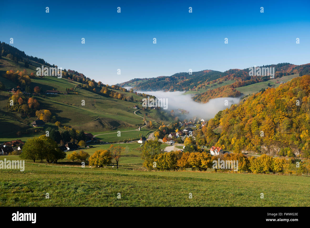 View into the Wiesental valley, in Schönau, Black Forest, Baden-Württemberg, Germany Stock Photo