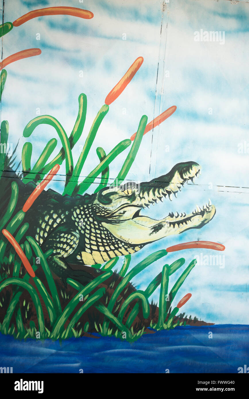 Graffiti of a crocodile, San Jose downtown, San José Province, Costa Rica Stock Photo