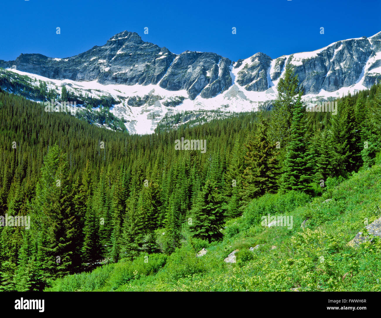 Bitterroot Mountains Montana High Resolution Stock Photography and ...