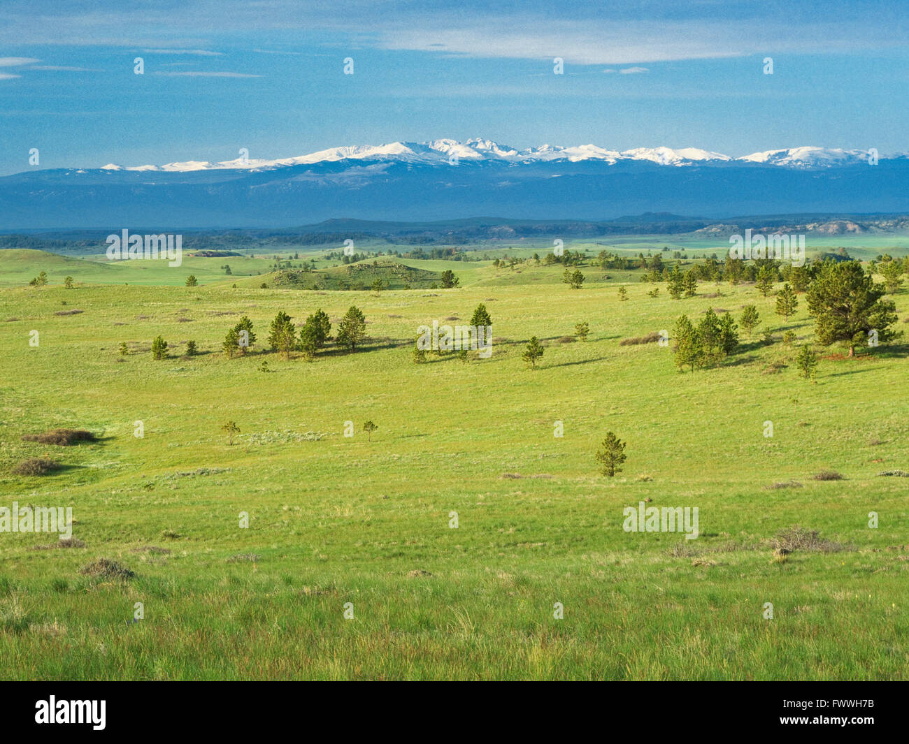 rangeland and pine hills in the tongue river basin near decker, montana, with the bighorn mountains of wyoming in the distance Stock Photo