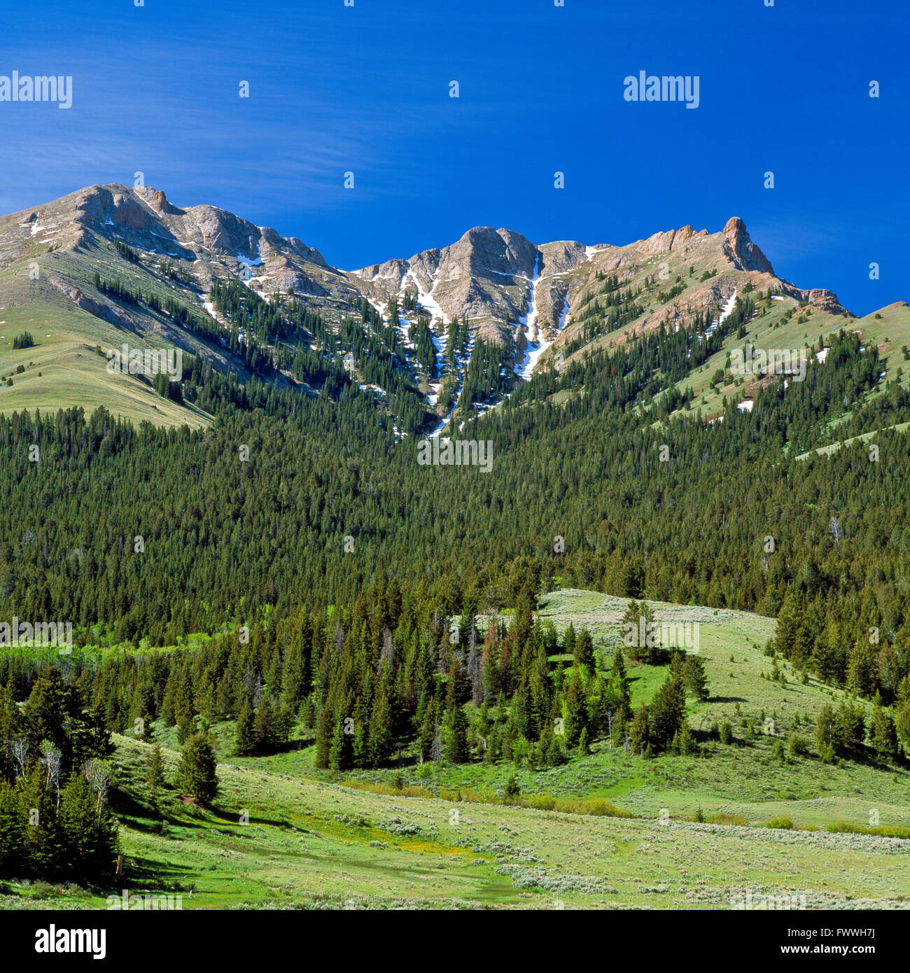 red conglomerate peaks in the sawmill creek basin of the beaverhead