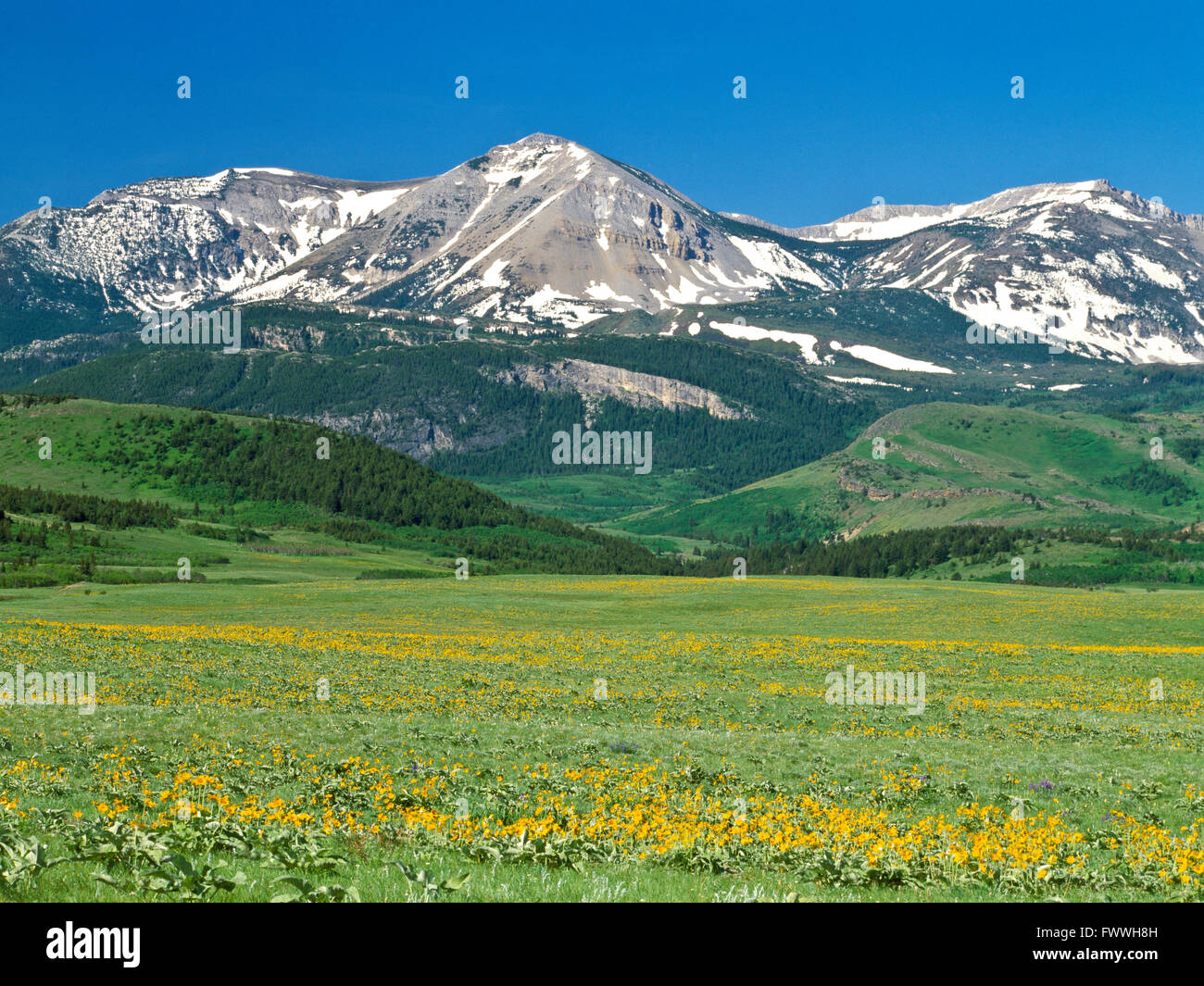 rocky mountain front in the badger creek basin near heart butte, montana Stock Photo Alamy