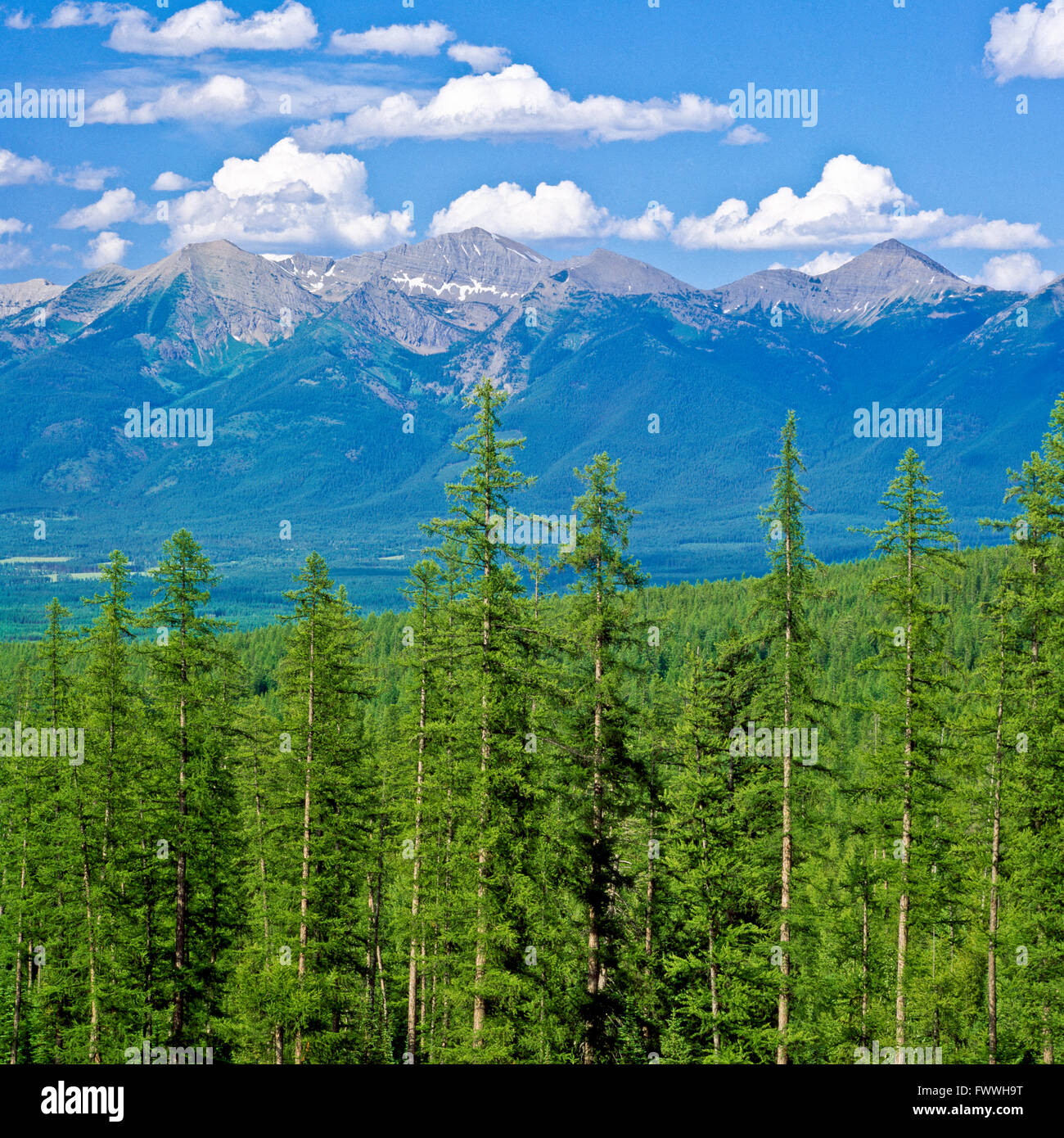 swan range above the seeley-swan valley near condon, montana Stock Photo