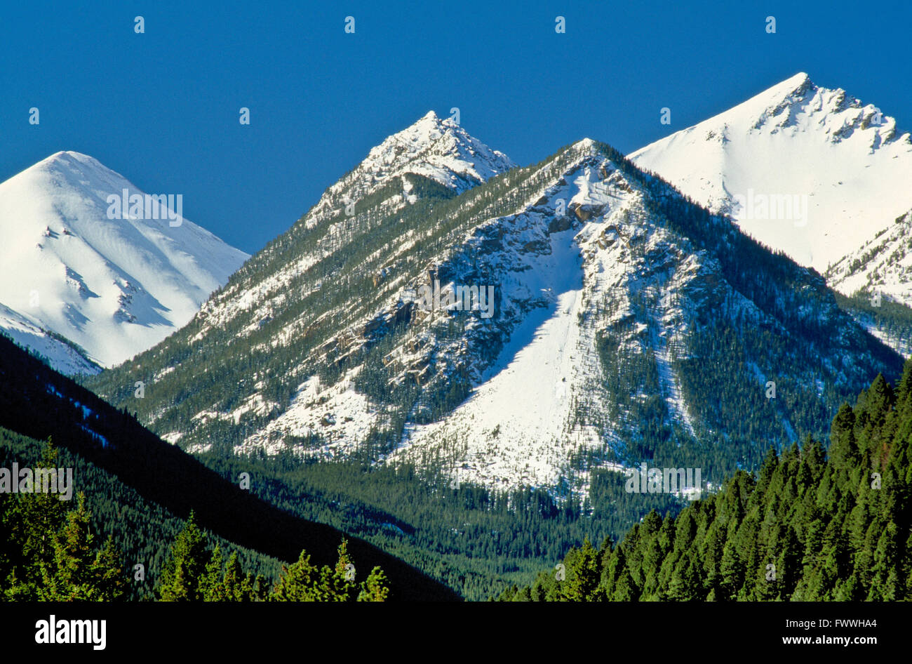 tobacco root mountains near mammoth, montana Stock Photo Alamy