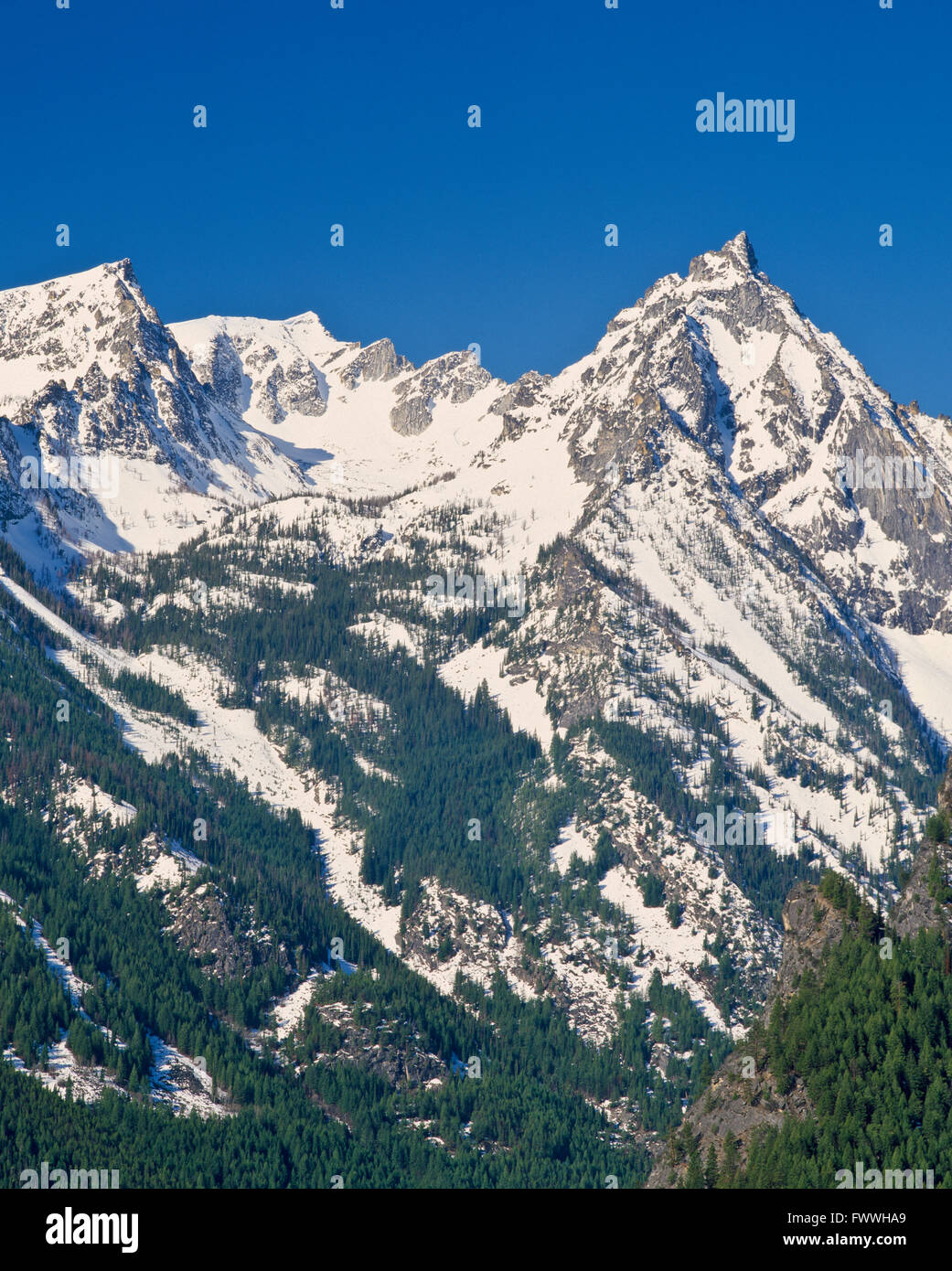 trapper peak in the bitterroot mountains of the selwaybitterroot