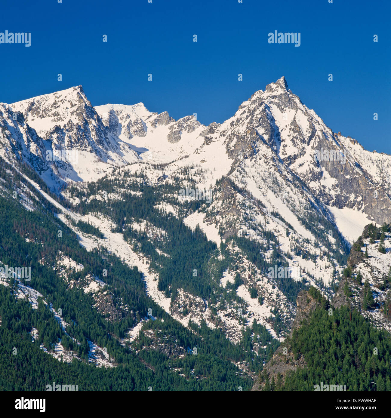 Selway bitterroot wilderness hires stock photography and images Alamy