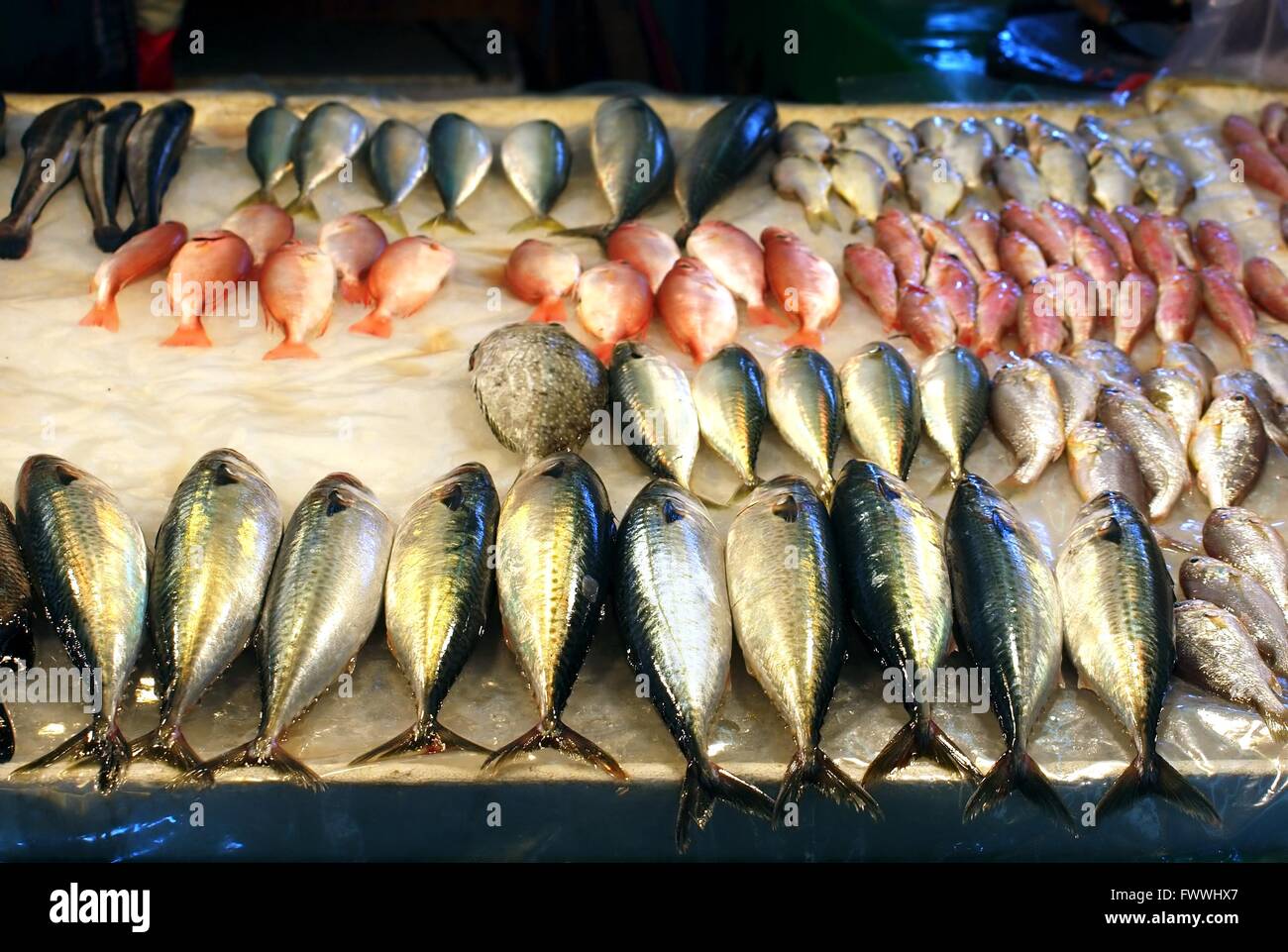 Fresh fish offered at the market hi-res stock photography and images ...