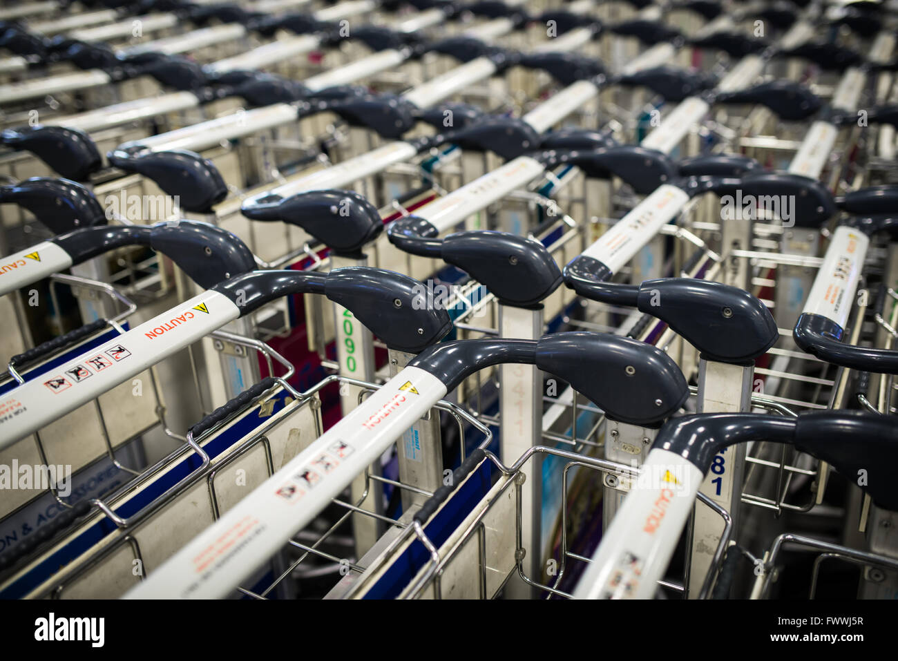 luggage trolleys at the airport Stock Photo Alamy