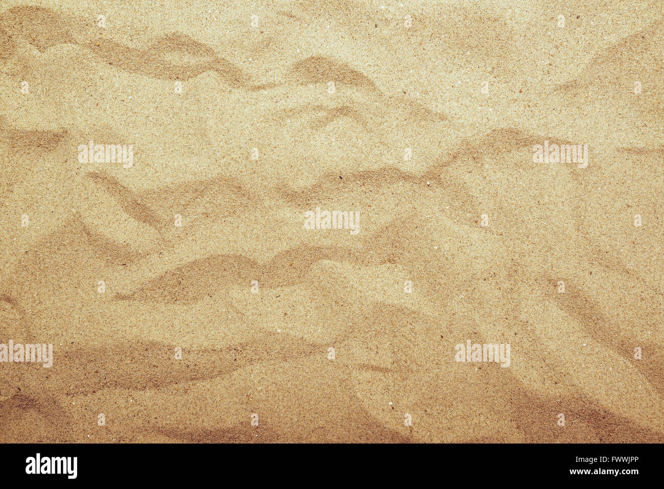 Sand texture, top view of summer beach sand surface with gradient light