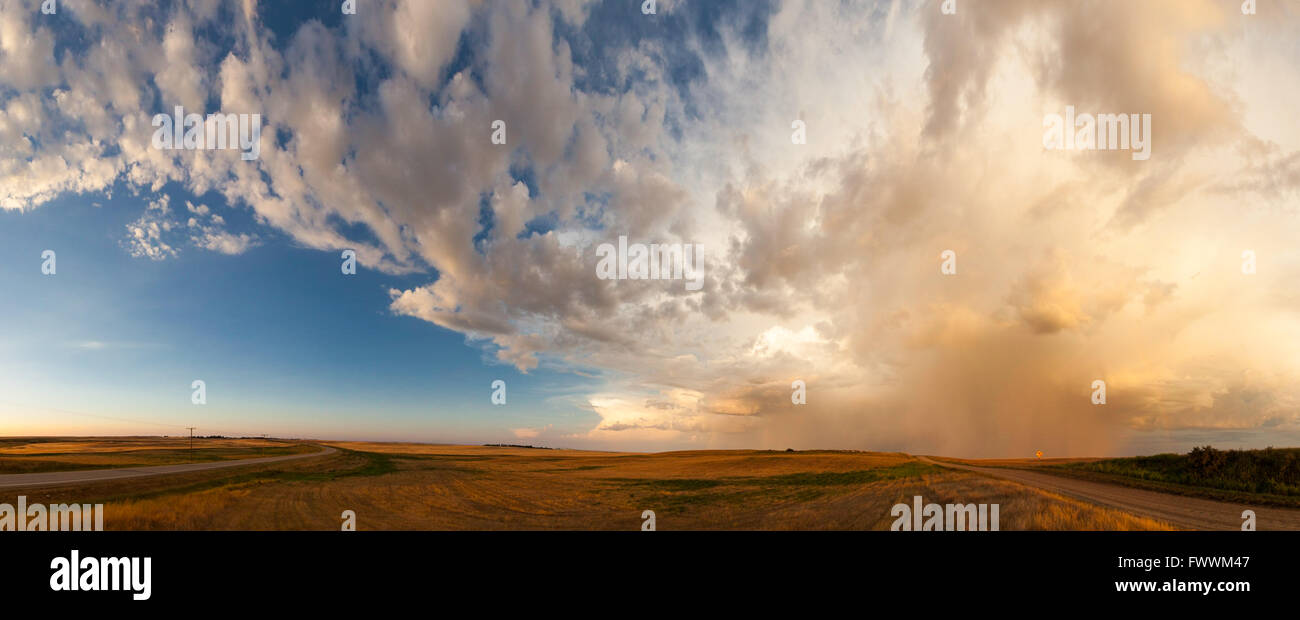 Storm over wheat fields in Saskatchewan Canada Stock Photo - Alamy