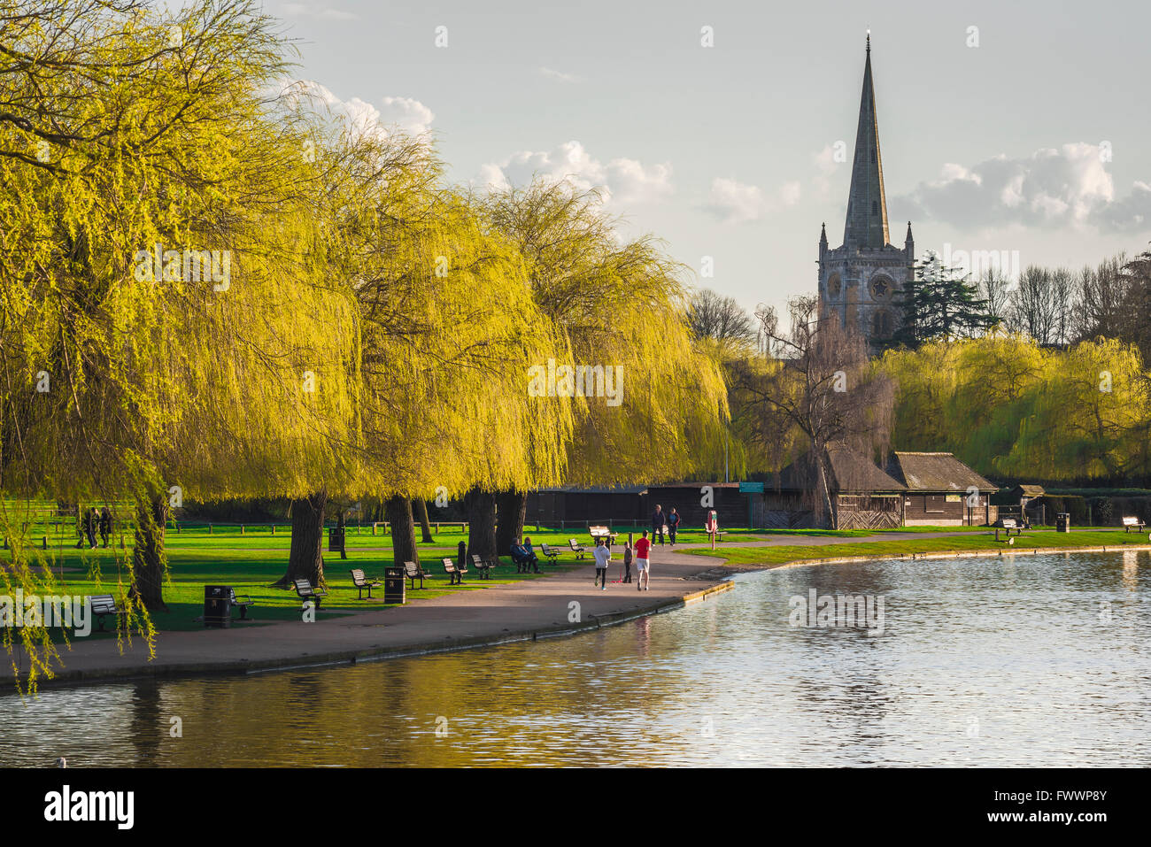 River Stratford Upon Avon, the willowlined river and Recreation Stock