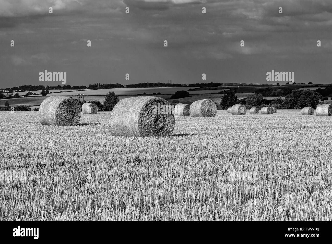 Hay bales in the summer sun on a field after harvest Stock Photo - Alamy