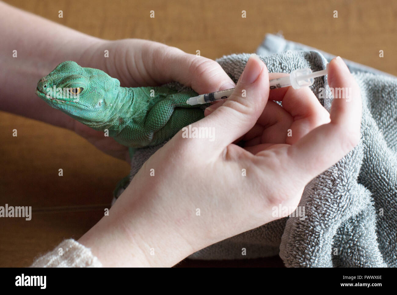 Minneapolis, Minnesota, USA. 7th April, 2016. Kirsten Engeseth, founder